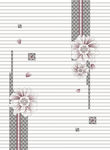 花纹