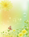 蝴蝶 花纹