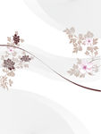 花纹