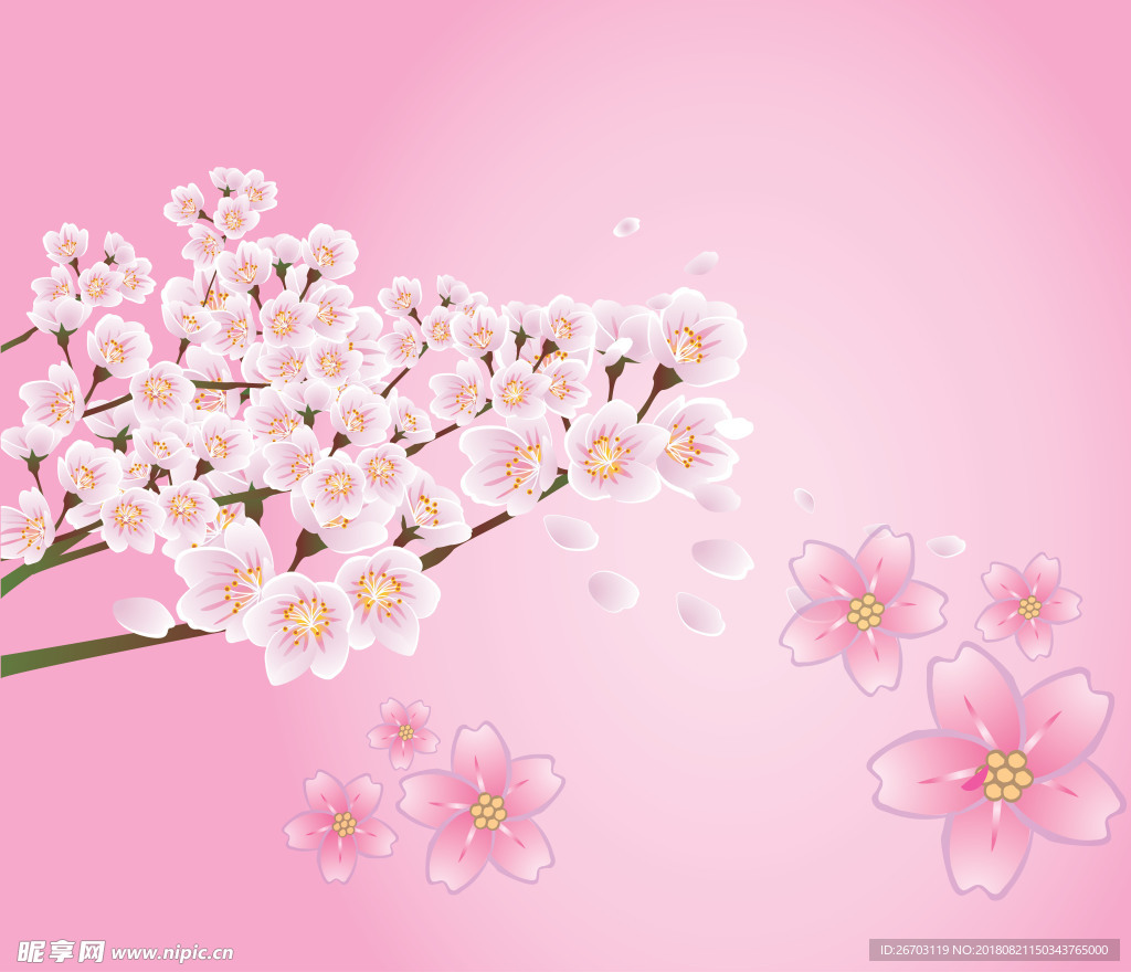 花朵