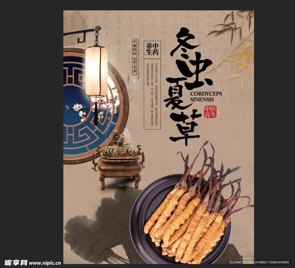 冬虫夏草