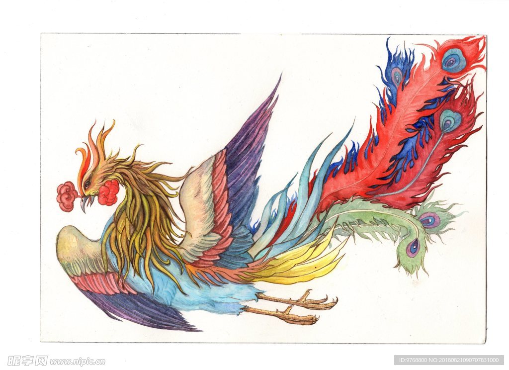 凤凰  吉祥   工笔画  吉