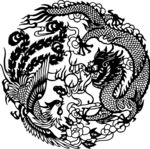 黑白龙22