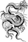 黑白龙27