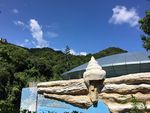 石螺