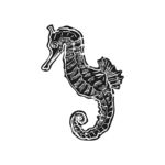 手绘海马