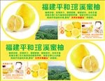 福建平和琯溪蜜柚异形吊牌