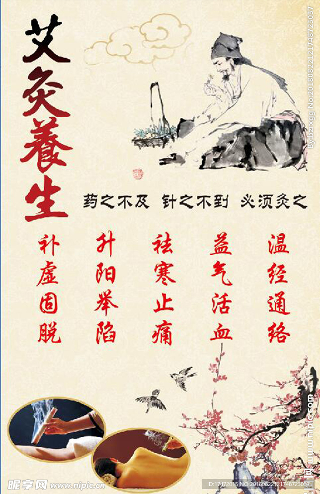 养生
