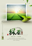绿茶