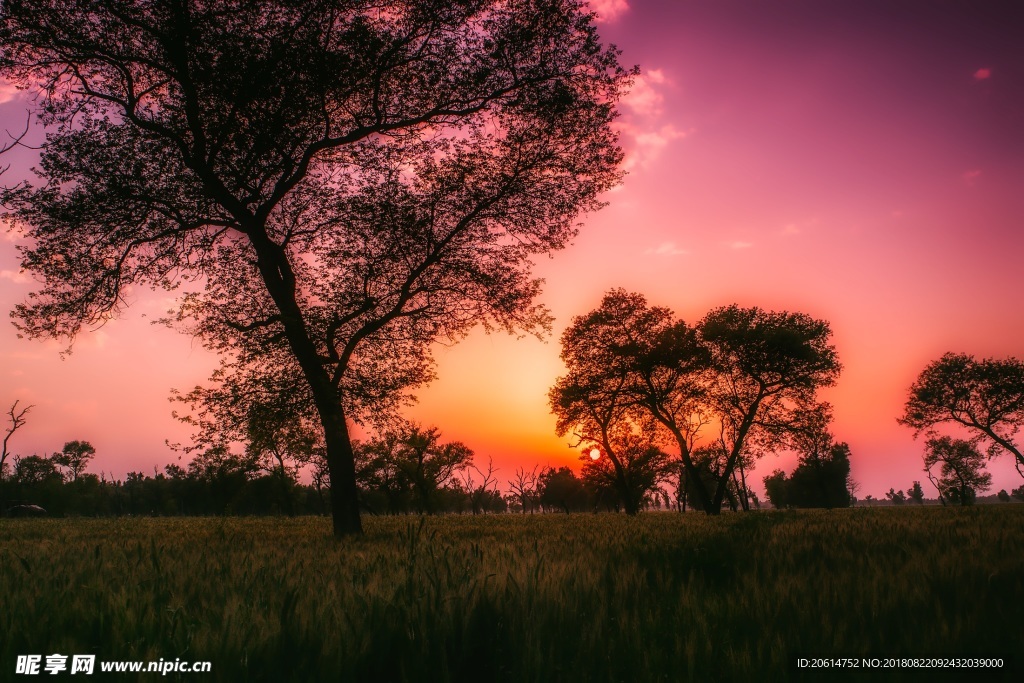 夕阳下的乡村风景