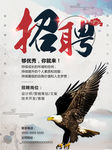 雄鹰展翅招聘海报