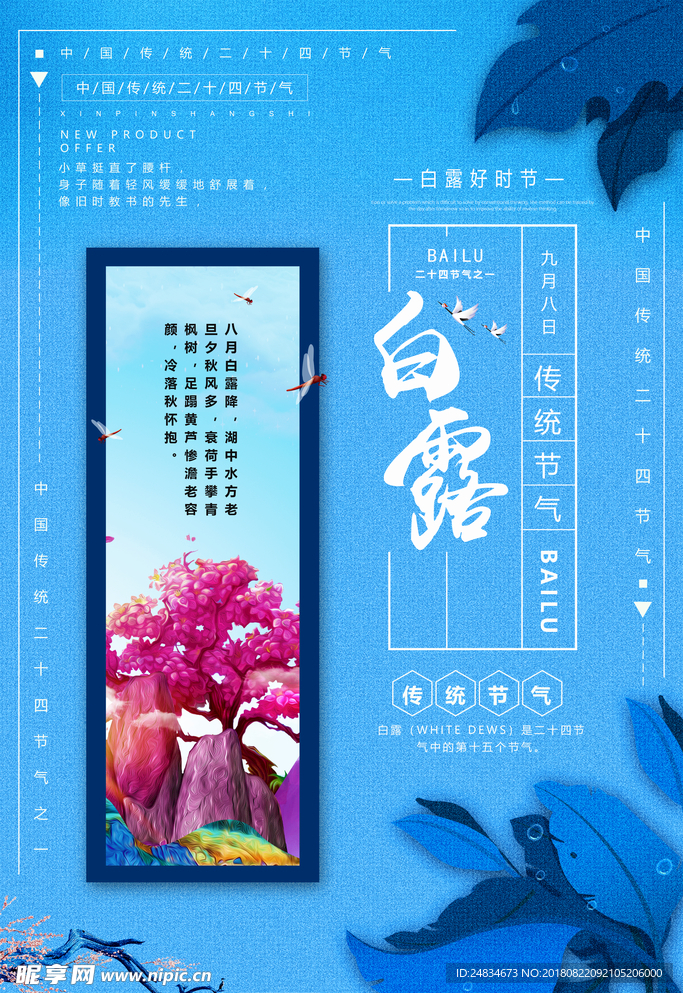 白露