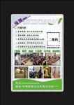 瑜伽课堂单页设计
