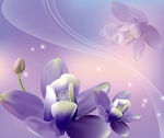 花纹