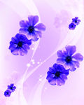 花纹