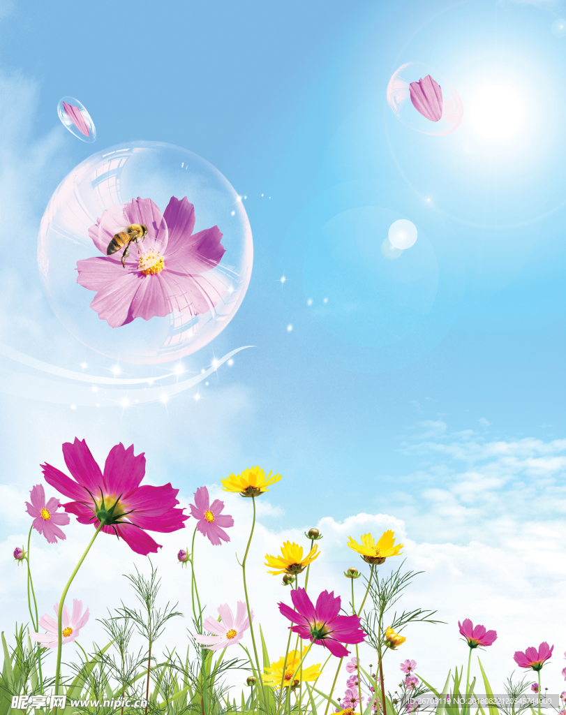 菊花