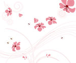 花纹