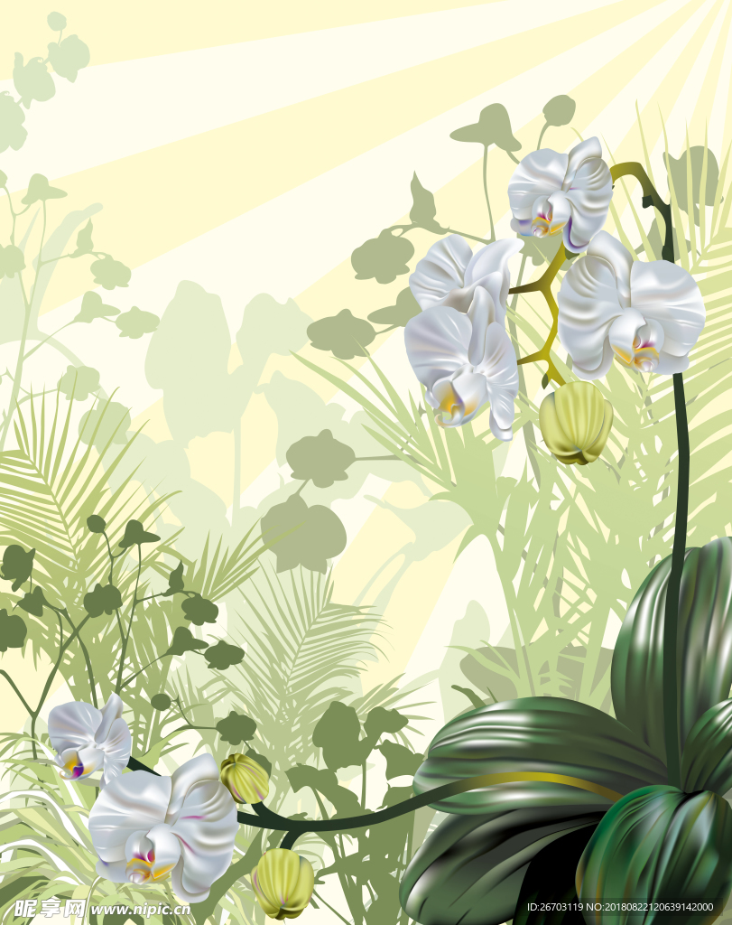 花纹
