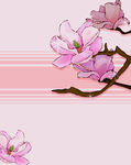 兰花