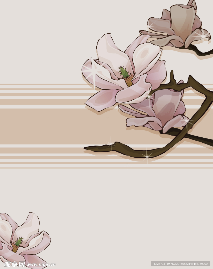 兰花