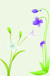 花纹