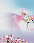 气泡  花纹