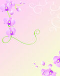 花纹