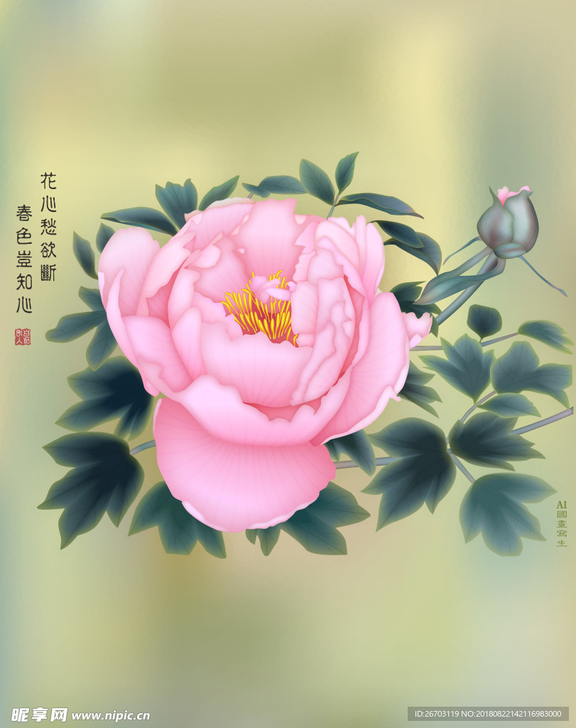 牡丹