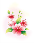 花纹