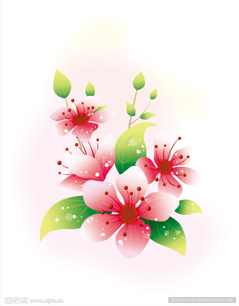 花纹
