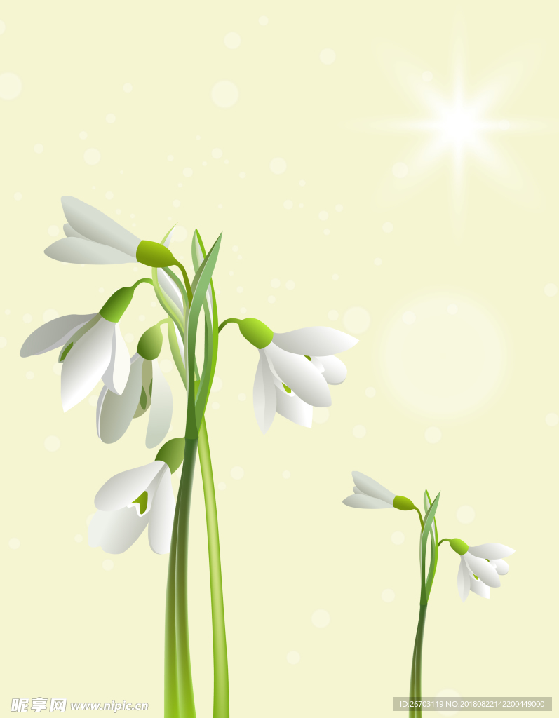白花