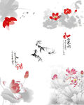 荷花