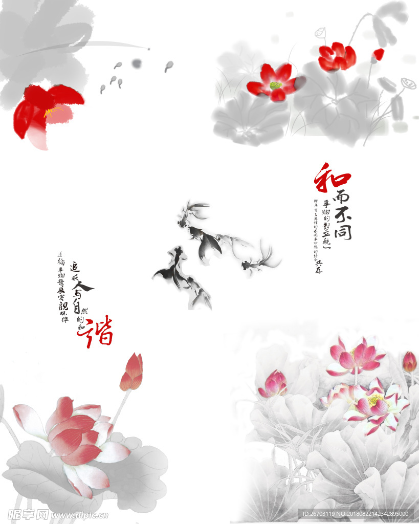 荷花