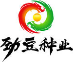劲豆LOGO