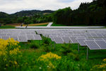 光伏板 新能源 太阳能 发电站