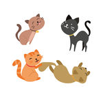 小猫