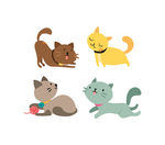 小猫