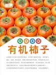 柿子海报
