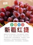 红提海报