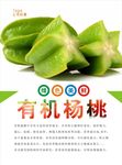 杨桃海报