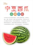 西瓜海报