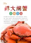 大闸蟹海报