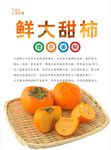 柿子海报