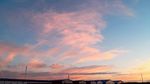 夕阳红