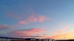 夕阳红