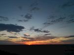 夕阳红