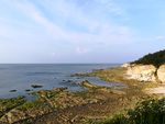 烟台养马岛