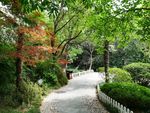 威海刘公岛