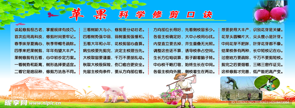 果树管理口诀