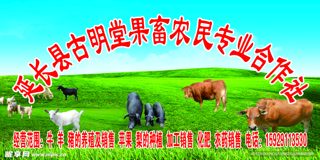 合作社
